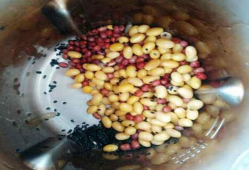 红豆黑芝麻豆浆,红豆黑芝麻豆浆，健康生活新选择