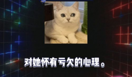 娱乐圈吃瓜爆音乐节,音乐节成吃瓜热点，明星幕后故事大揭秘