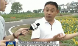娱乐圈吃瓜新闻播报,明星恋情、绯闻、幕后故事大揭秘！
