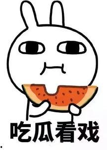 娱乐吃瓜酱参考,吃瓜酱带你探秘明星幕后故事